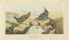 AUDUBON, JOHN JAMES. The Birds of America.  7 vols.  1840-44